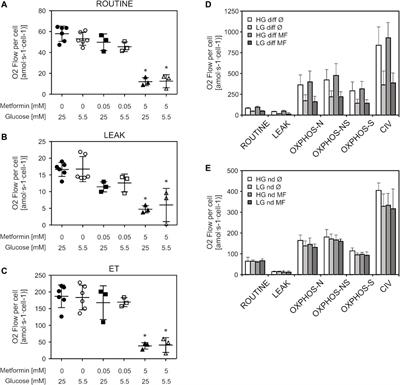 Therapeutic vs. Suprapharmacological Metformin Concentrations: Different Effects on Energy Metabolism and Mitochondrial Function in Skeletal Muscle Cells in vitro